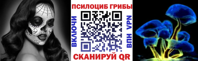 Псилоцибиновые грибы прущие грибы  Купить где  Оленегорск 